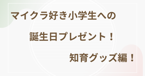マイクラ好き小学生への誕生日プレゼント！ 知育グッズ編！